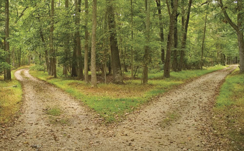 "Two roads diverge in a yellow wood..."